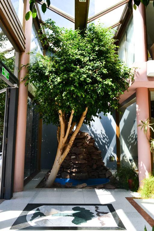 Argenta Apart Hotel Trelew Exterior foto